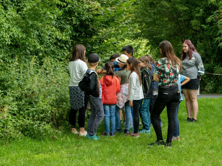 Wildkräuter-Bestimmung: Wie unterscheidet man sie und wie schmecken sie?